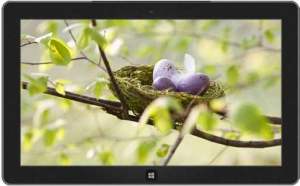 MSSpringAwakeningTheme847f7585-3d83-4fde-856a-1fd524b8cadc_8