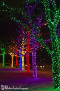 3a040a302a019878679356dda1a6734ePINTERESTholidayLightsAtO'HaraAirportChicago