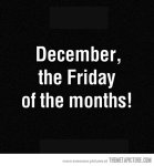 funny-December-month-quoteBING121914
