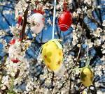 thPZBEH363 Easter Tree Egg BING 032416